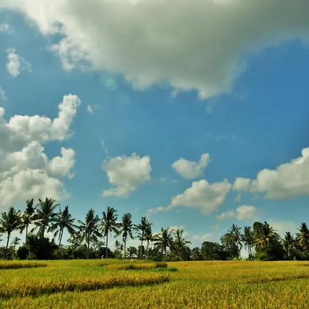 Griya Private Villa Ubud Buitenkant foto