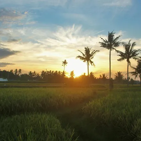 Griya Private Villa Ubud Buitenkant foto