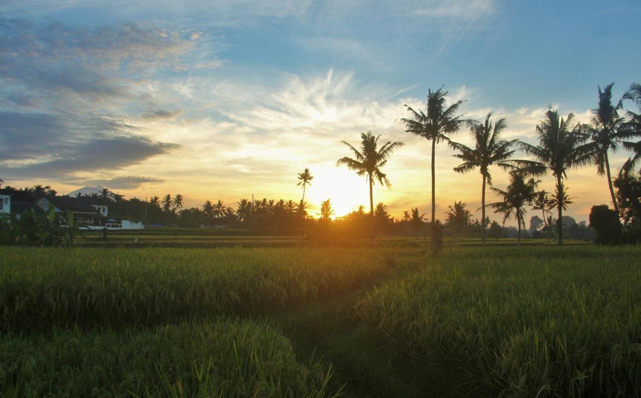 Griya Private Ubud (Bali)